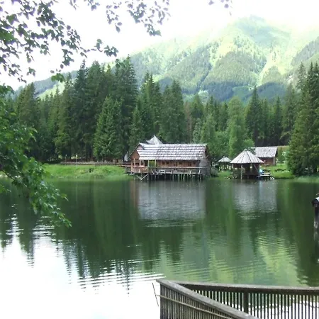 Stallbauer *